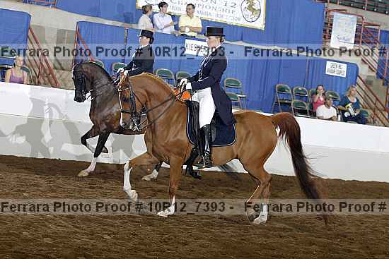 Proof 10r12_7393