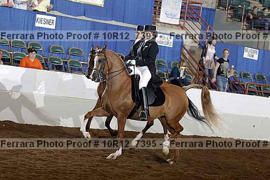 Proof 10r12_7395
