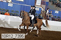 10r12_7395 proof