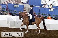 10r12_7401 proof