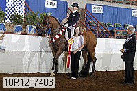 10r12_7403 proof