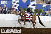 10r12_7427 proof