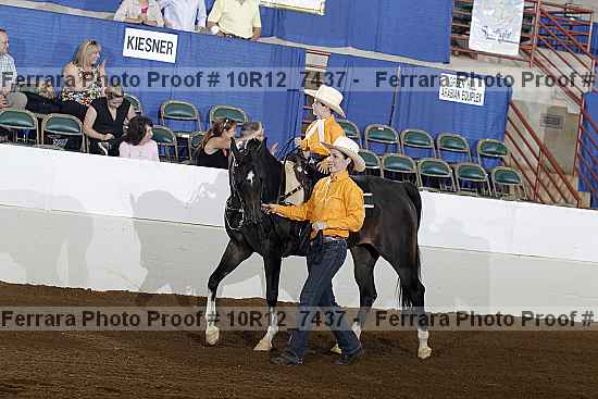 Proof 10r12_7437