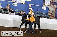 10r12_7437 proof