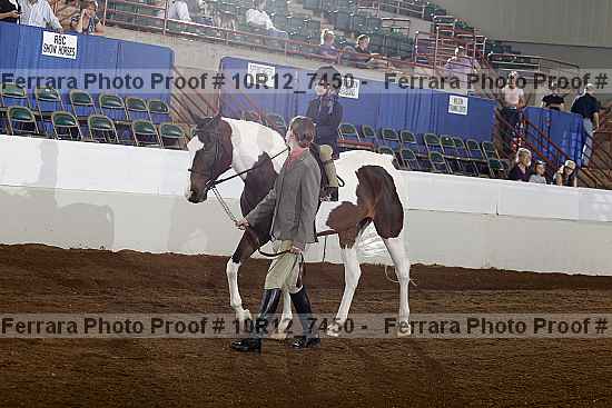Proof 10r12_7450
