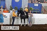 10r12_7482 proof