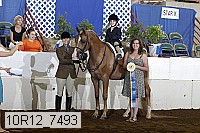 10r12_7493 proof