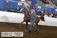 10r12_7507 proof