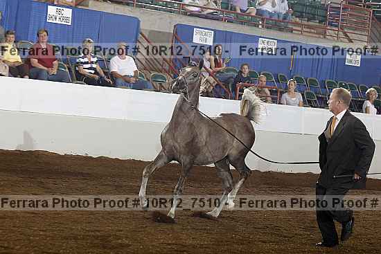 Proof 10r12_7510