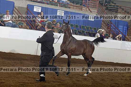Proof 10r12_7511