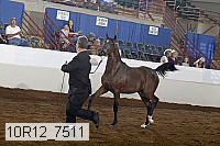 10r12_7511 proof