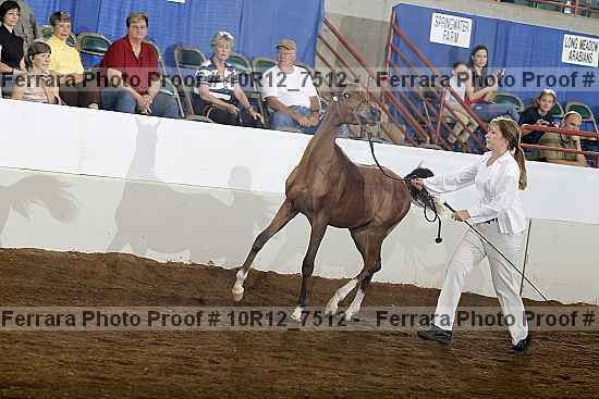 Proof 10r12_7512