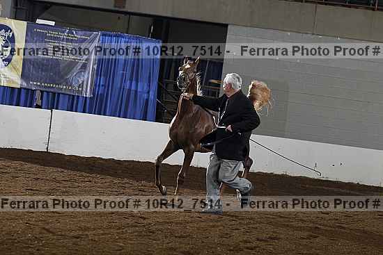 Proof 10r12_7514