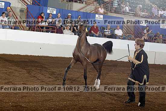 Proof 10r12_7515