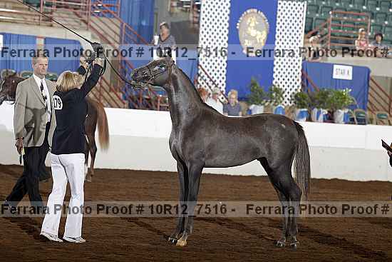 Proof 10r12_7516