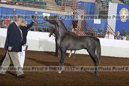 Proof 10r12_7517