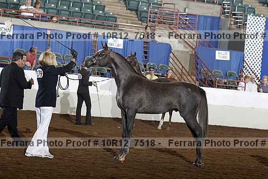 Proof 10r12_7518