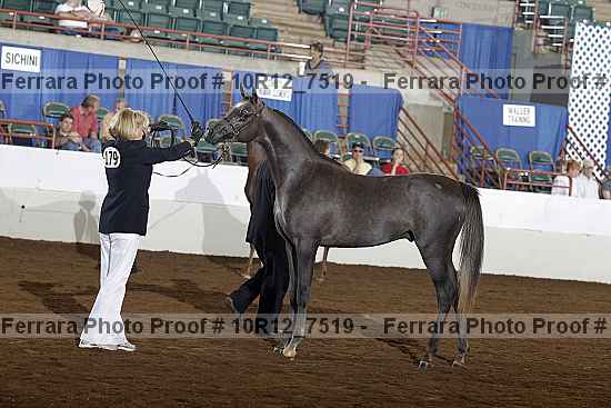 Proof 10r12_7519