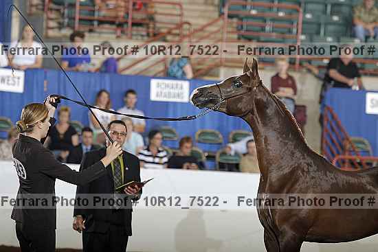 Proof 10r12_7522