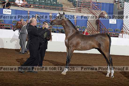 Proof 10r12_7526