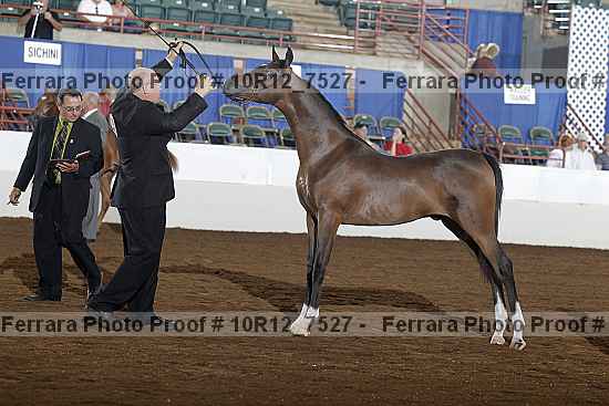 Proof 10r12_7527