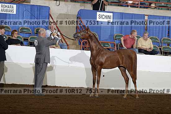 Proof 10r12_7531