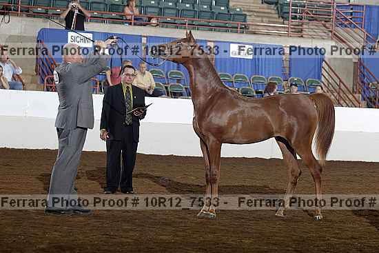 Proof 10r12_7533