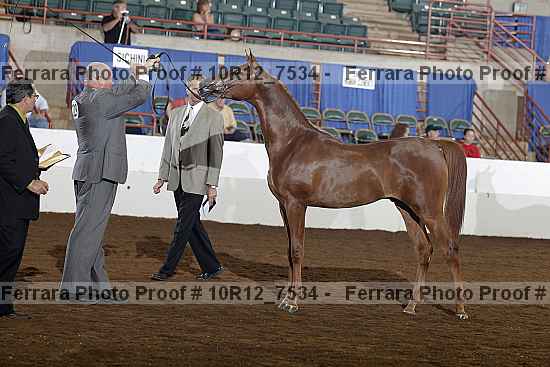 Proof 10r12_7534