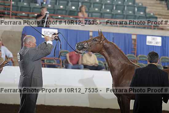 Proof 10r12_7535