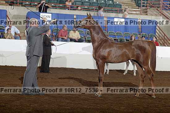 Proof 10r12_7536