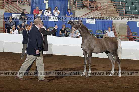 Proof 10r12_7540