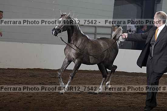Proof 10r12_7542