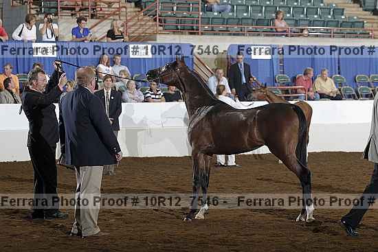Proof 10r12_7546