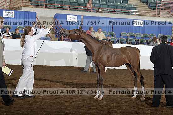 Proof 10r12_7547