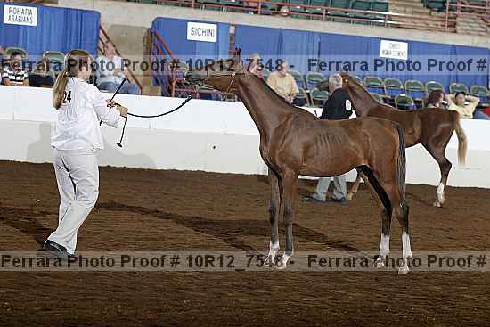 Proof 10r12_7548