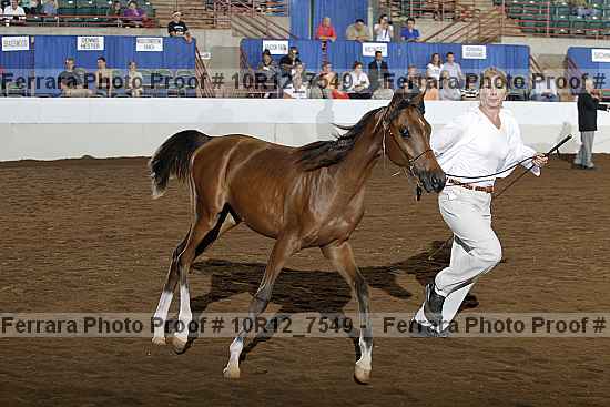Proof 10r12_7549