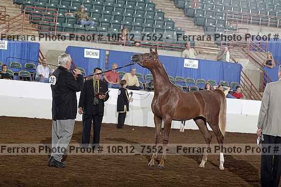 Proof 10r12_7552