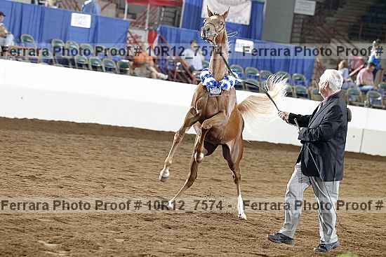 Proof 10r12_7574