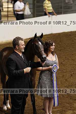 Proof 10r12_7580