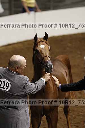 Proof 10r12_7581