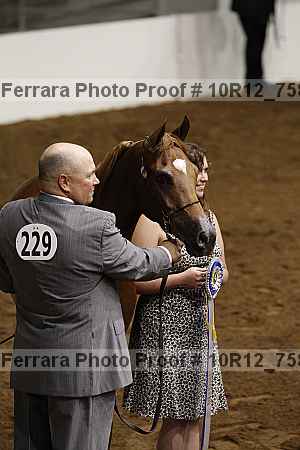 Proof 10r12_7583