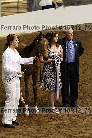 Proof 10r12_7584
