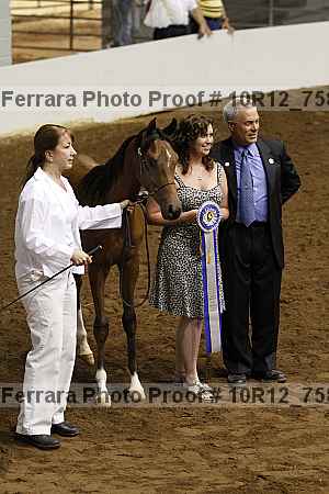 Proof 10r12_7585