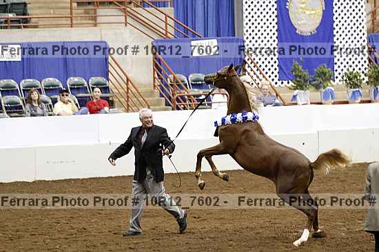 Proof 10r12_7602