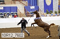 10r12_7602 proof