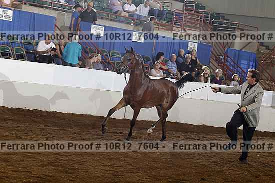 Proof 10r12_7604