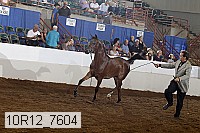 10r12_7604 proof