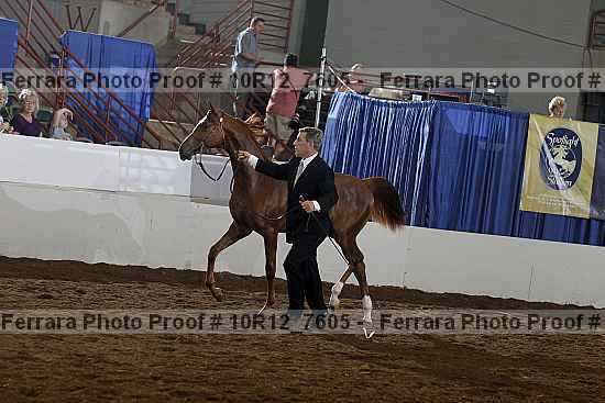 Proof 10r12_7605