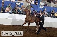 10r12_7606 proof