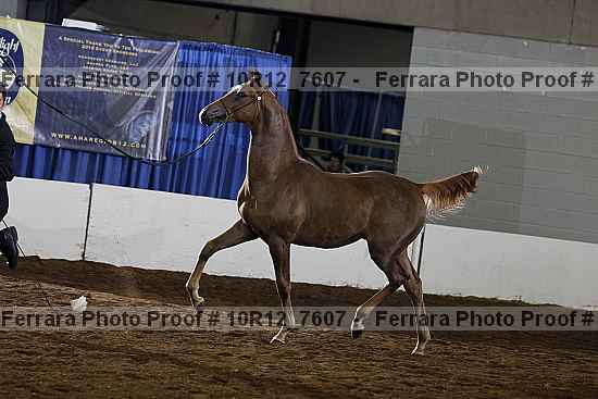 Proof 10r12_7607